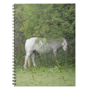 Shy White Horse Notebook Anteckningsbok Med Spiral