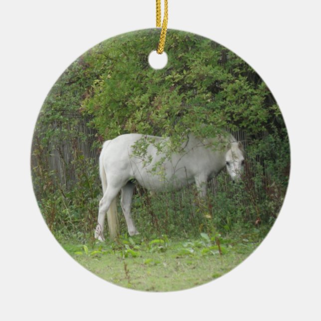 Shy White Horse Ornament (Framsidan)