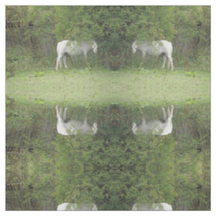 Shy White Horse Patterned Animal Craft Fabric Tyg