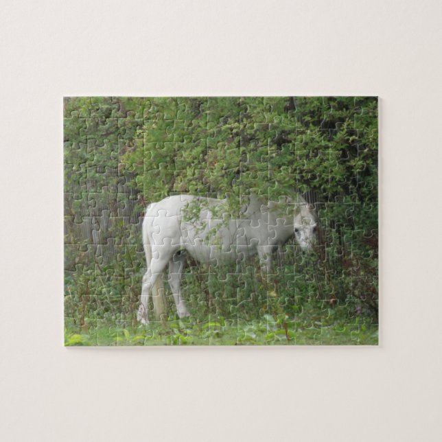 Shy White Horse Puzzle Pussel (Horisontell)