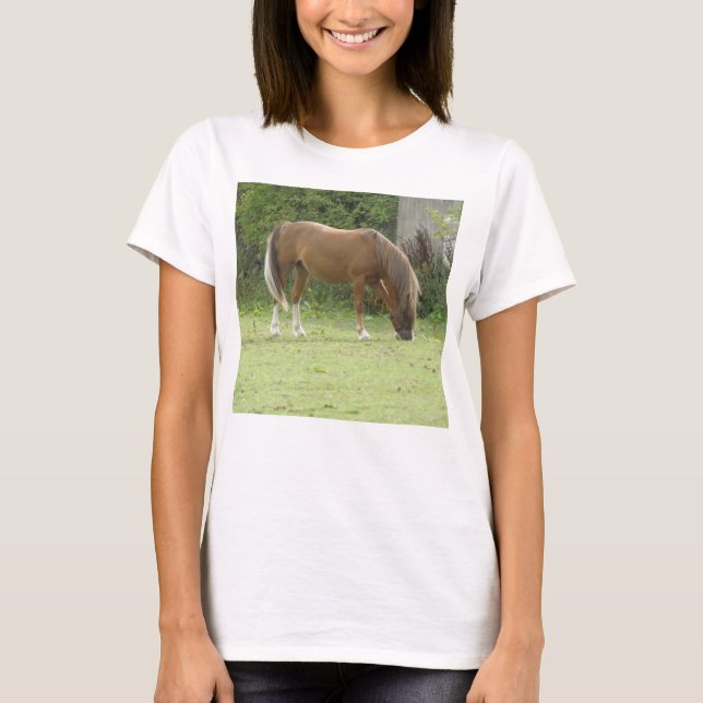 Shy White Horse T Shirt (Framsida)
