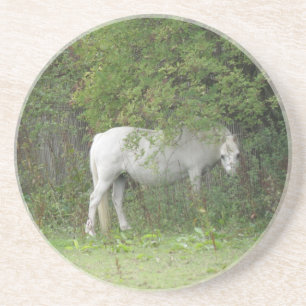 Shy White Horse Underläggs Underlägg Sandsten