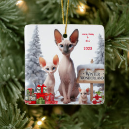 Shynx-familjens Personlig - julprydnad Julgransprydnad Keramik
