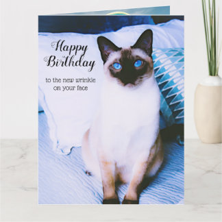 Siamese Birthday Card Kort