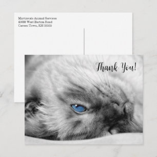 Siamese Blue Eyed Cat Tack Vykort