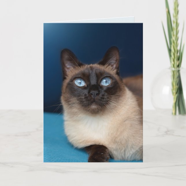 SIAMESE CAT BIRTHDAY BEAUTIFUL Greeting Card Kort (Framsida)