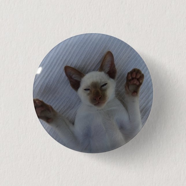 Siamese cat button knapp (Framsida)