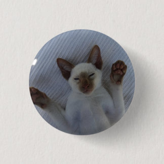 Siamese cat button knapp