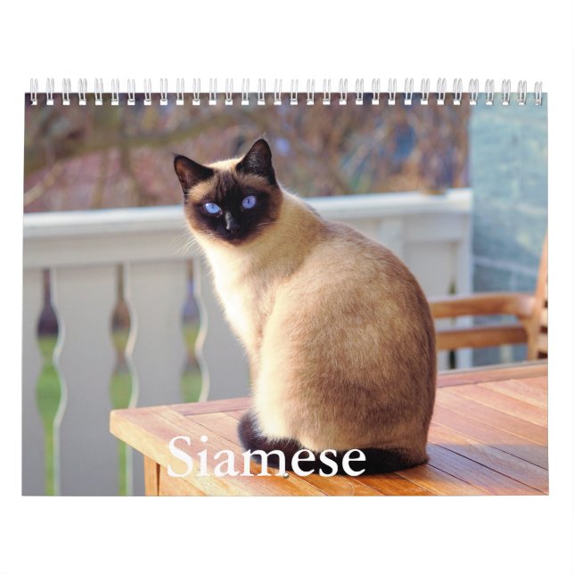 Siamese Cat Calendar Kalender (Omslag)