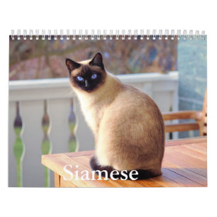 Siamese Cat Calendar Kalender