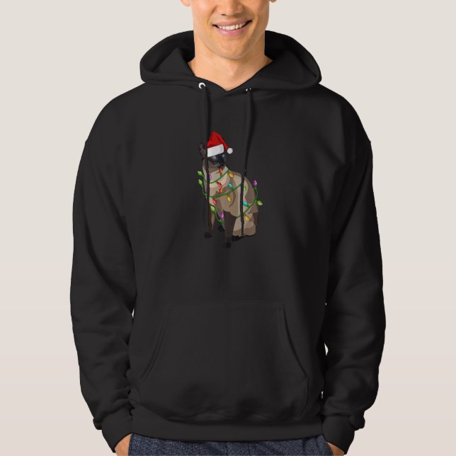 Siamese Cat Christmas Lights Xmas Cat Hoodie (Framsida)