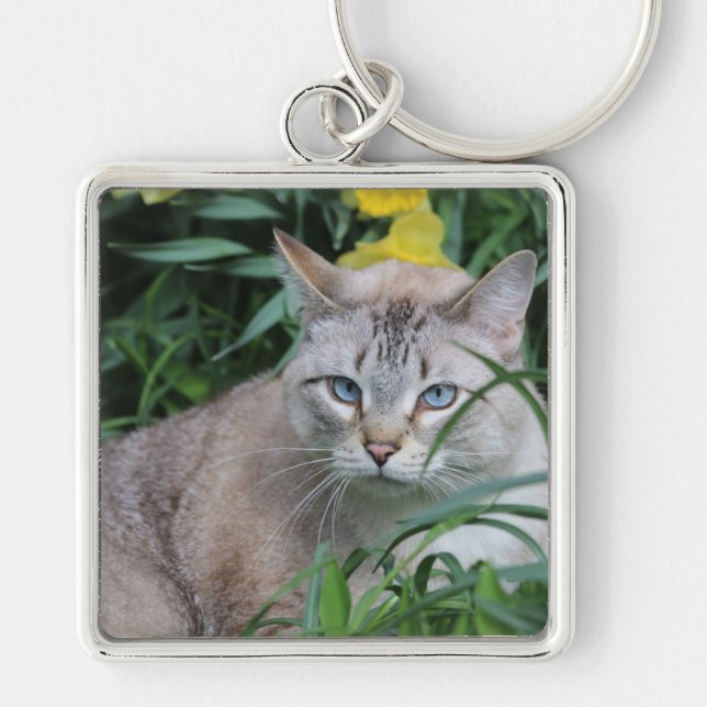Siamese Cat Fyrkantig Silverfärgad Nyckelring (Framsidan)