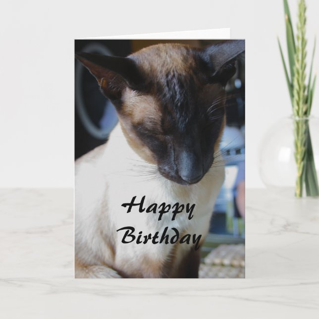 Siamese Cat Grattis på födelsedagen Card Kort (Framsida)