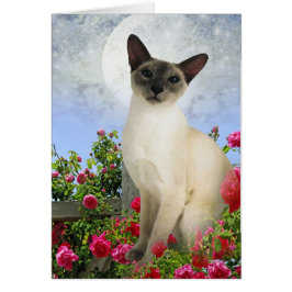 Siamese Cat i ro-sängkort Hälsningskort