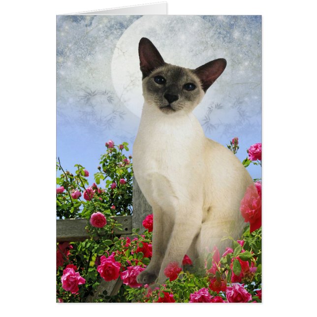 Siamese Cat i ro-sängkort Hälsningskort (Framsidan)