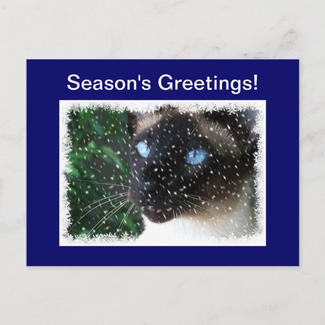 Siamese Cat-julvinter Helg Vykort (Framsida)