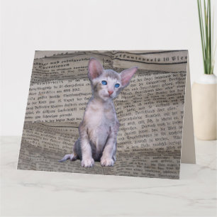 SIAMESE CAT KÄRLEK BIRTHDAY NEWSPAPER ART Card Kort