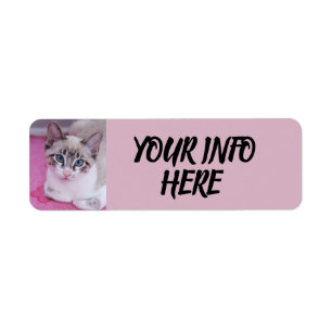SIAMESE CAT KITTEN-RETURETIKETTER RETURADRESS ETIKETT