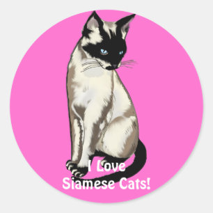 Siamese Cat Lover Gifts Runt Klistermärke