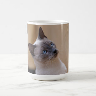 Siamese Cat Magisk Mugg