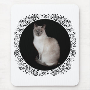 Siamese Cat Musmatta