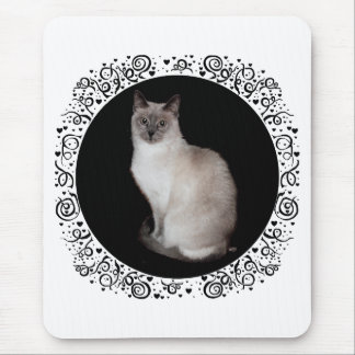 Siamese Cat Musmatta