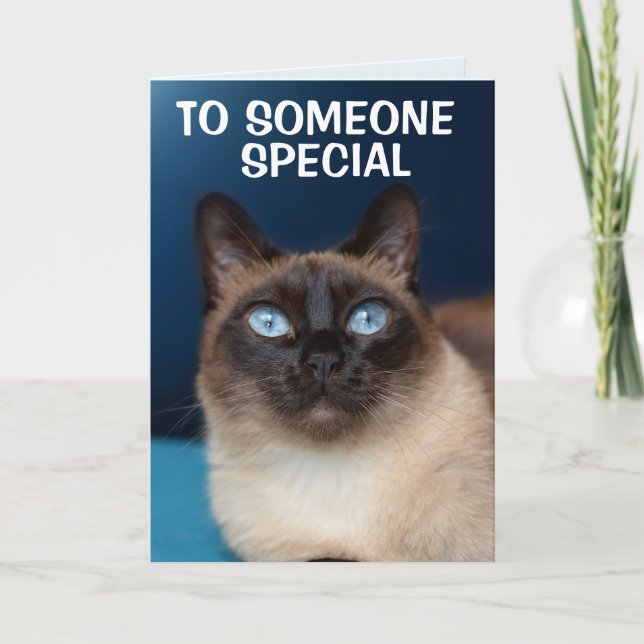 SIAMESE CAT NÅGON SPECIELLT BIRTHDAG-kort Kort (Framsida)