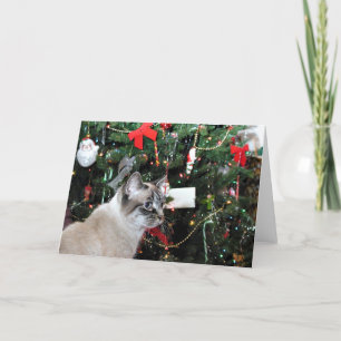 Siamese Cat och Julgran Helgkort