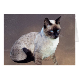 Siamese Cat Painting Hälsningskort
