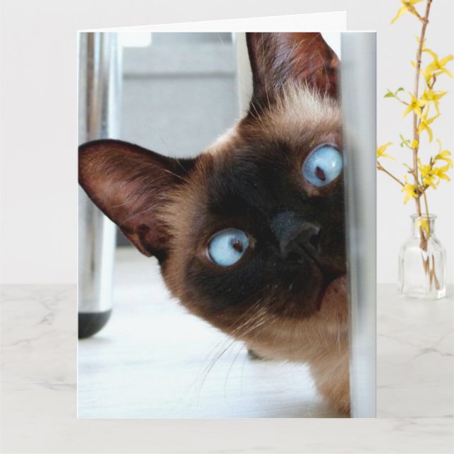 SIAMESE CAT PEEKING HAPPY BIRTHDAY GREETNG  KORT (Gul blomma)