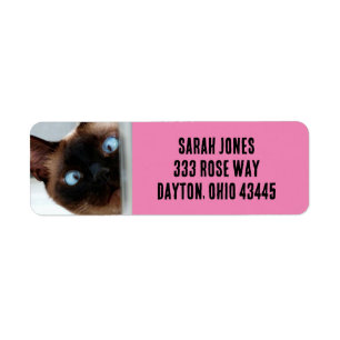 SIAMESE CAT PEEPEEP-RETURETIKETTER RETURADRESS ETIKETT