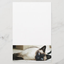 Siamese Cat Pet Brevpapper