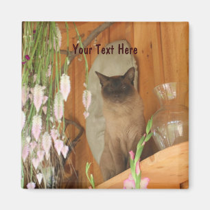 Siamese Cat PosAnimal Photography Magnet #1