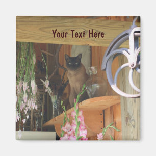 Siamese Cat PosAnimal Photography Magnet #2