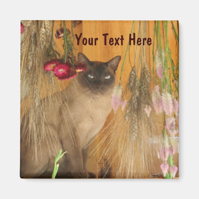 Siamese Cat PosAnimal Photography Magnet #3 (Framsidan)