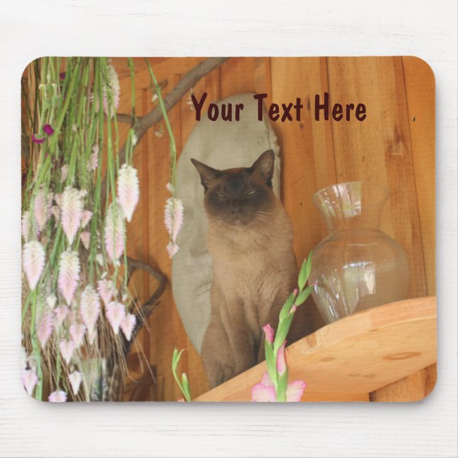 Siamese Cat Posating Animal Photography Mousepad # Musmatta (Framsidan)