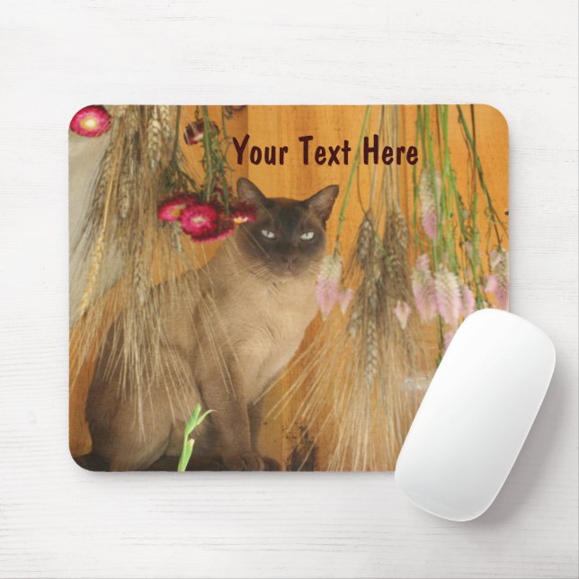 Siamese Cat Posating Animal Photography Mousepad # Musmatta (Med mus)