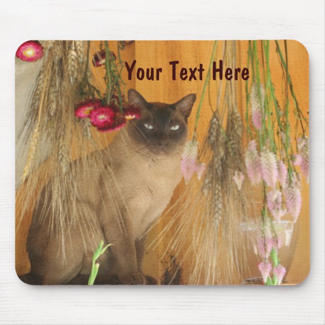 Siamese Cat Posating Animal Photography Mousepad # Musmatta (Framsidan)