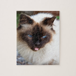 Siamese cat pussel