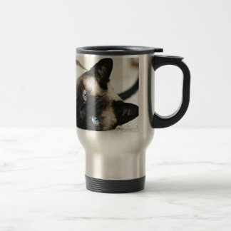 Siamese Cat Resemugg