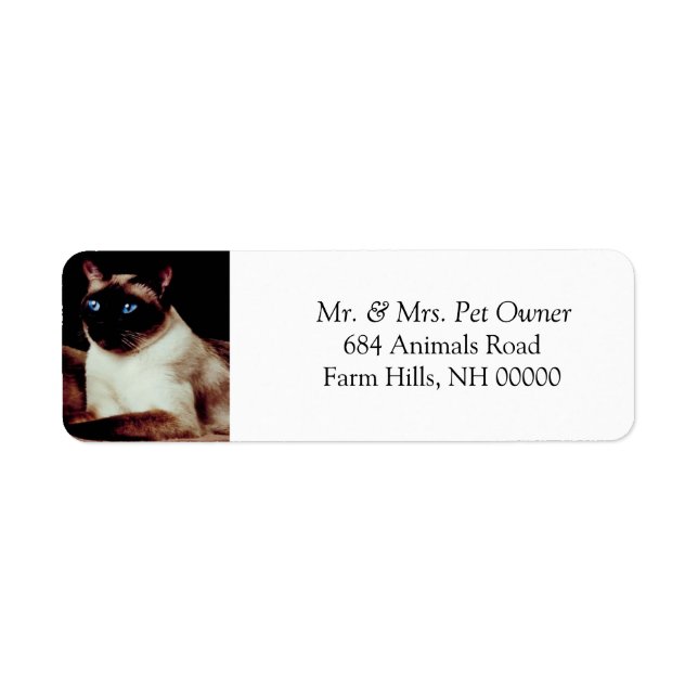 Siamese Cat Returadress Stickers Labels Returadress Etikett (Framsidan)