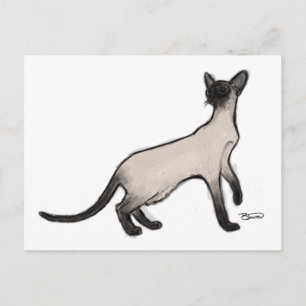 Siamese Cat-vykort Vykort