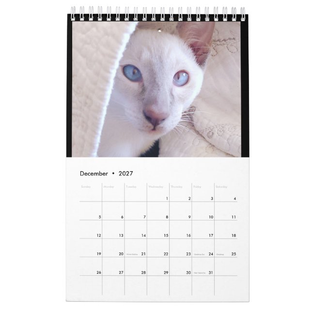 Siamese Cats Calendar Kalender (Dec 2027)