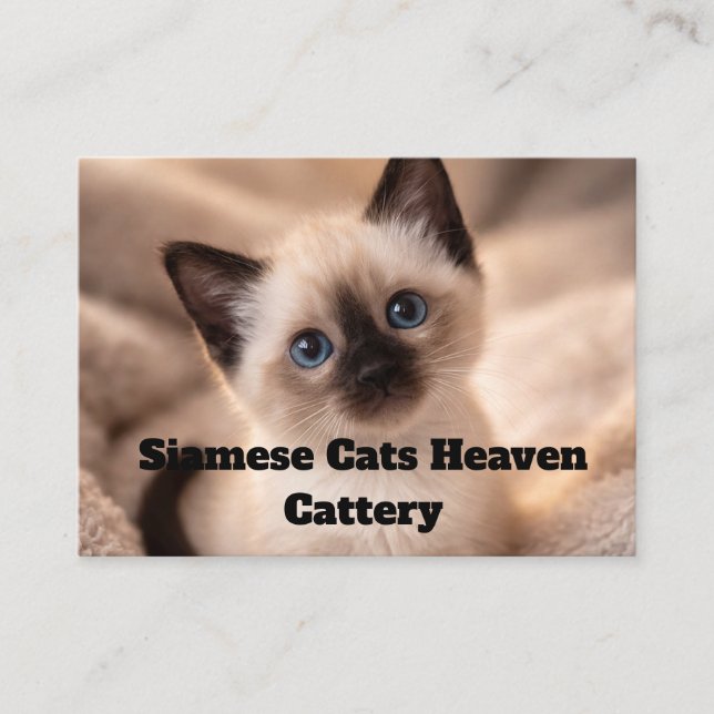 Siamese Cats Heaven Cattery Customizable Business  Visitkort (Framsida)