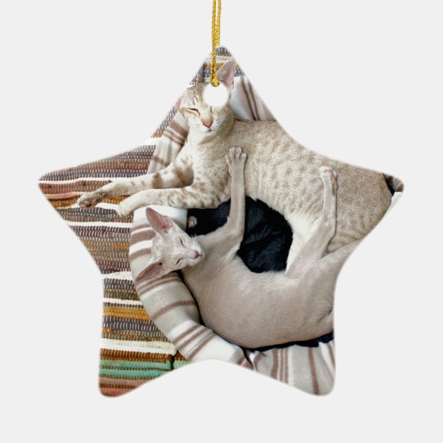 Siamese Cats Just Chillin! Julgransprydnad Keramik (Framsidan)