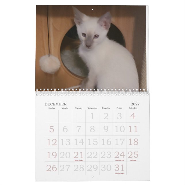 Siamese Cats Kalender (Dec 2027)
