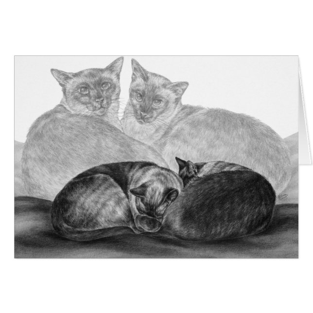 Siamese Cats Teckning av Kelli Svan OBS Kort (Framsidan Horizontal)