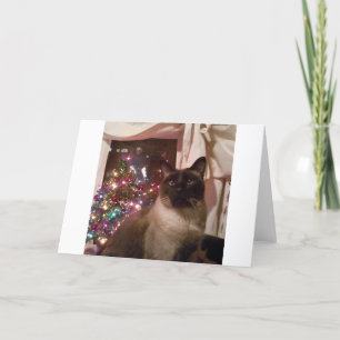 siamese christmas helgkort