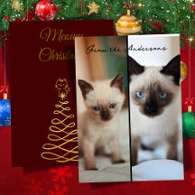 Siamese christmas