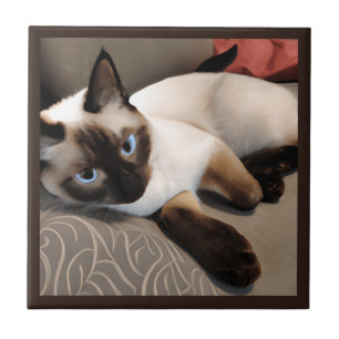 Siamese Digital Porträtt Kakelplatta